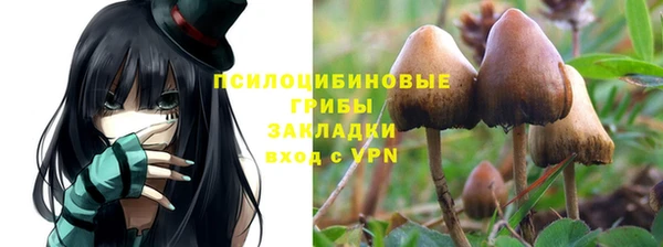 стаф Козельск