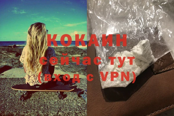 дживик Баксан