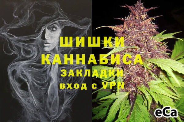 дживик Баксан
